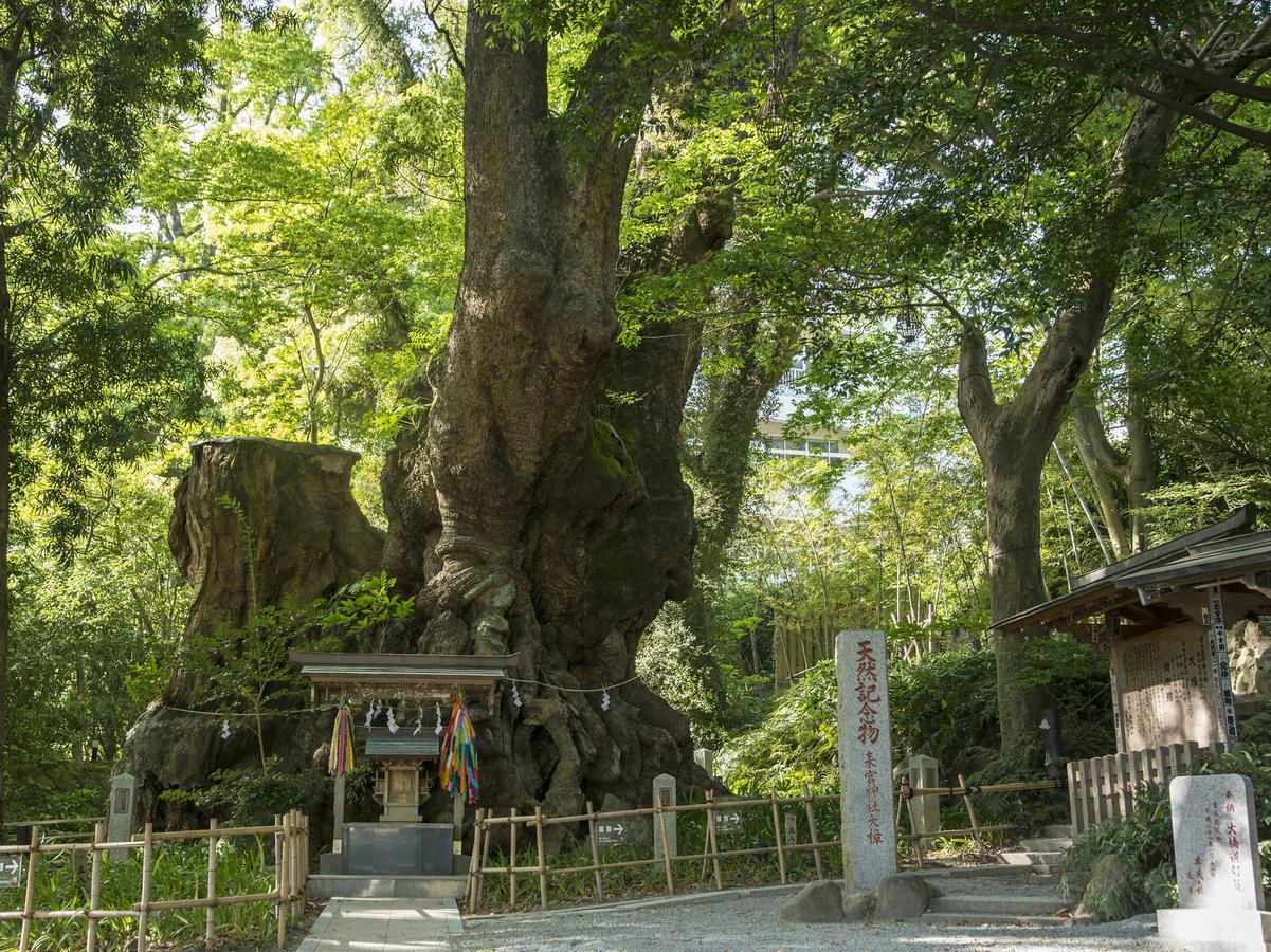 Tkp Lectore Atami Momoyama Kültér fotó